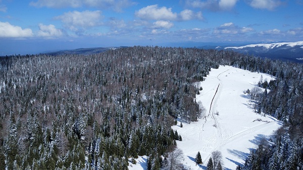 Foto - Mart kapıdan baktırdı ortaya bu manzara çıktı