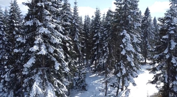 Foto - Mart kapıdan baktırdı ortaya bu manzara çıktı