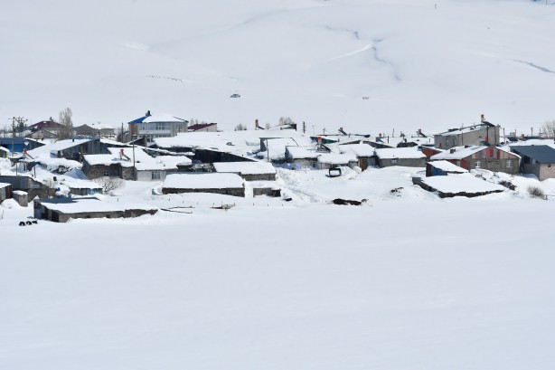 Foto - Martın sonunda korkutan görüntü