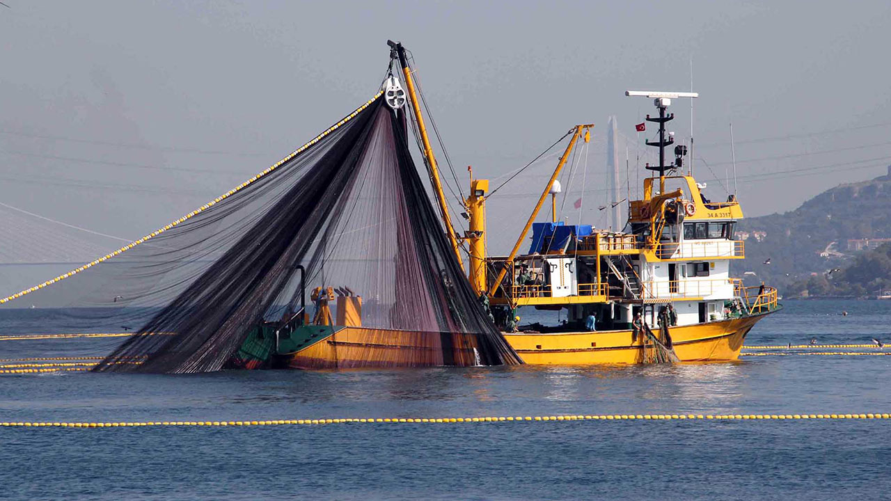Foto - Maşallah dedirten gelişme! Denizlerimizden fışkırıyor, 20 ülke peşine düştü