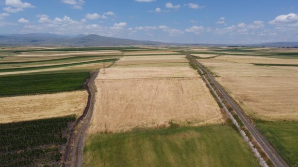 Foto - Maşallah! Tarlalardan bereket fışkırdı