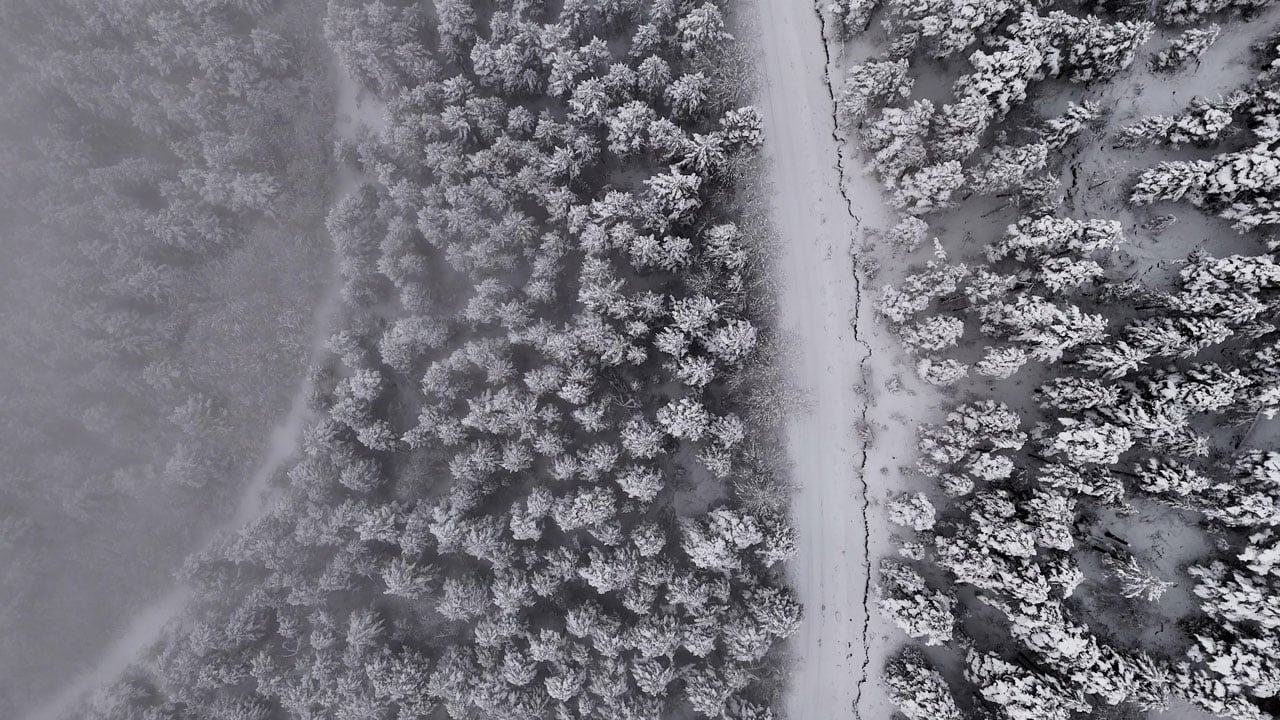 Masalsı manzara! Gümüşhane’de kar ve sis bir arada görüntülendi