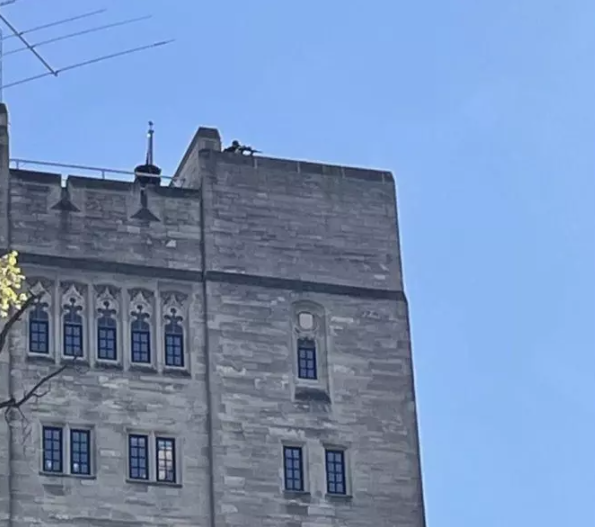 Foto - Maskeler birer birer düşüyor! ABD’nin akademik özgürlüğü İsrail’e kadar