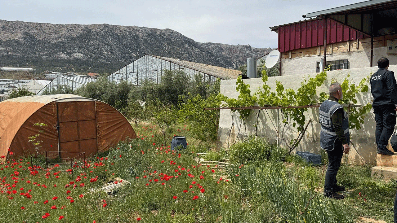Masum bir sera gibi göründüğüne bakmayın...