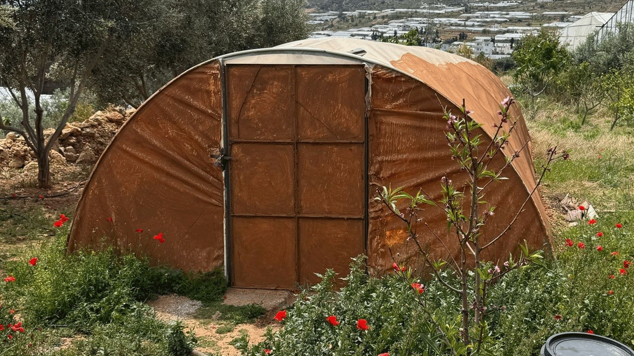 Foto - Masum bir sera gibi göründüğüne bakmayın...