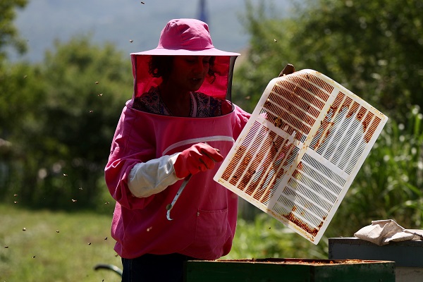 Foto - Matematik öğretmeniydi çiftçi oldu