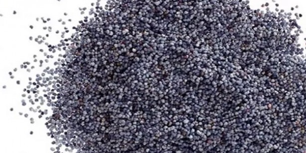 Foto - Mavi haşhaşlı şekerpare! Bu kadar da olmaz dedirten tarif klasik tatlı tariflerinin tümünü unutturabilir 