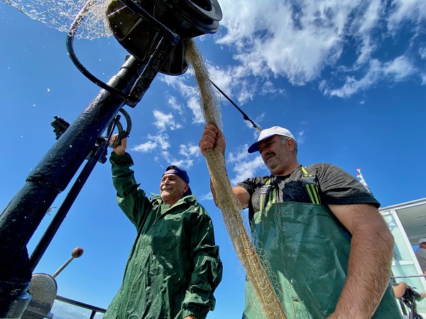 Foto - Mavi suların neferleri!