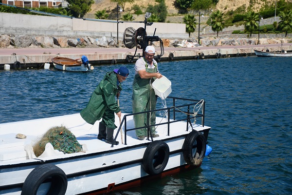 Foto - Mavi suların neferleri!