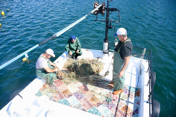 Foto - Mavi suların neferleri!