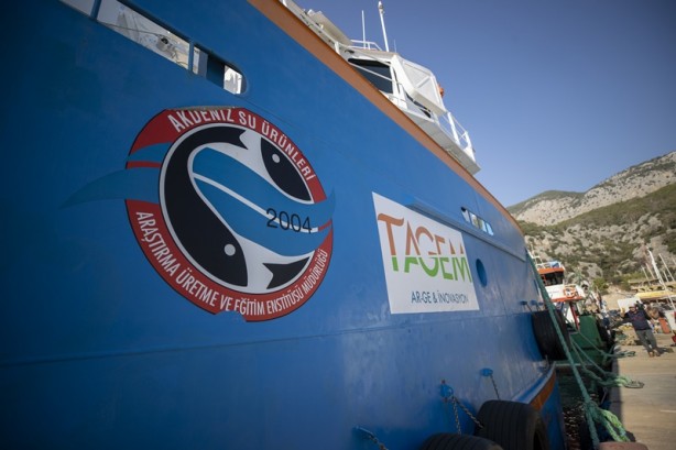 Foto - Mavi vatanda deniz canlıları ekosistemi kayıt altına alınıyor