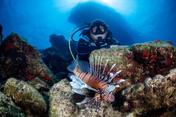 Foto - Maviliğin altında gizli kalan hazine! Bodrum’a bir de bu açıdan bakın! 