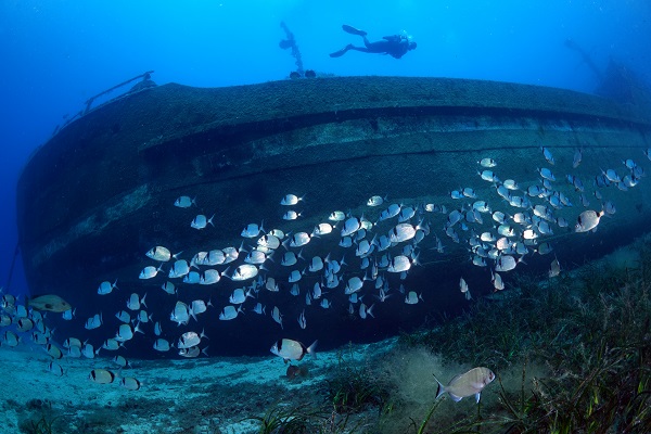 Foto - Maviliğin altında gizli kalan hazine! Bodrum’a bir de bu açıdan bakın! 