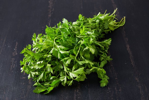 Foto - Maydanoz kanserle savaşıyor