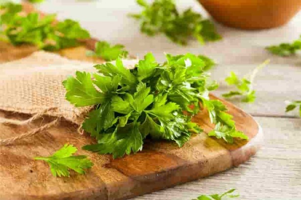 Foto - Maydanoz kanserle savaşıyor