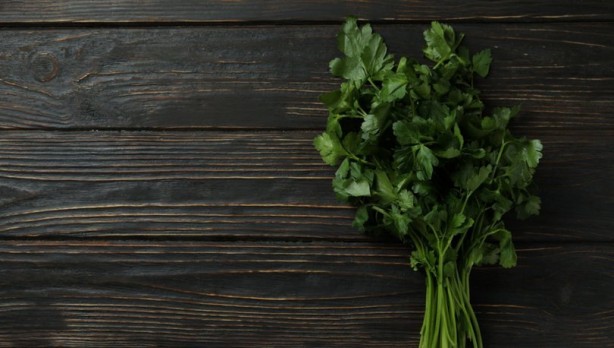 Foto - Maydanoz kanserle savaşıyor