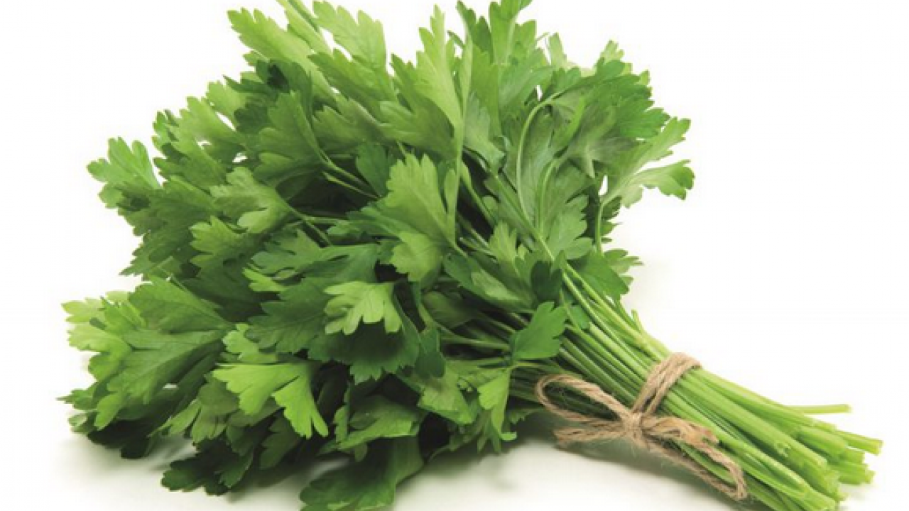 Foto - Maydanoz: Lezzetiyle müthiş, birçok kişinin favorisi! Duyan satın almak istedi... Deneyince bir anda farkını göreceksiniz!