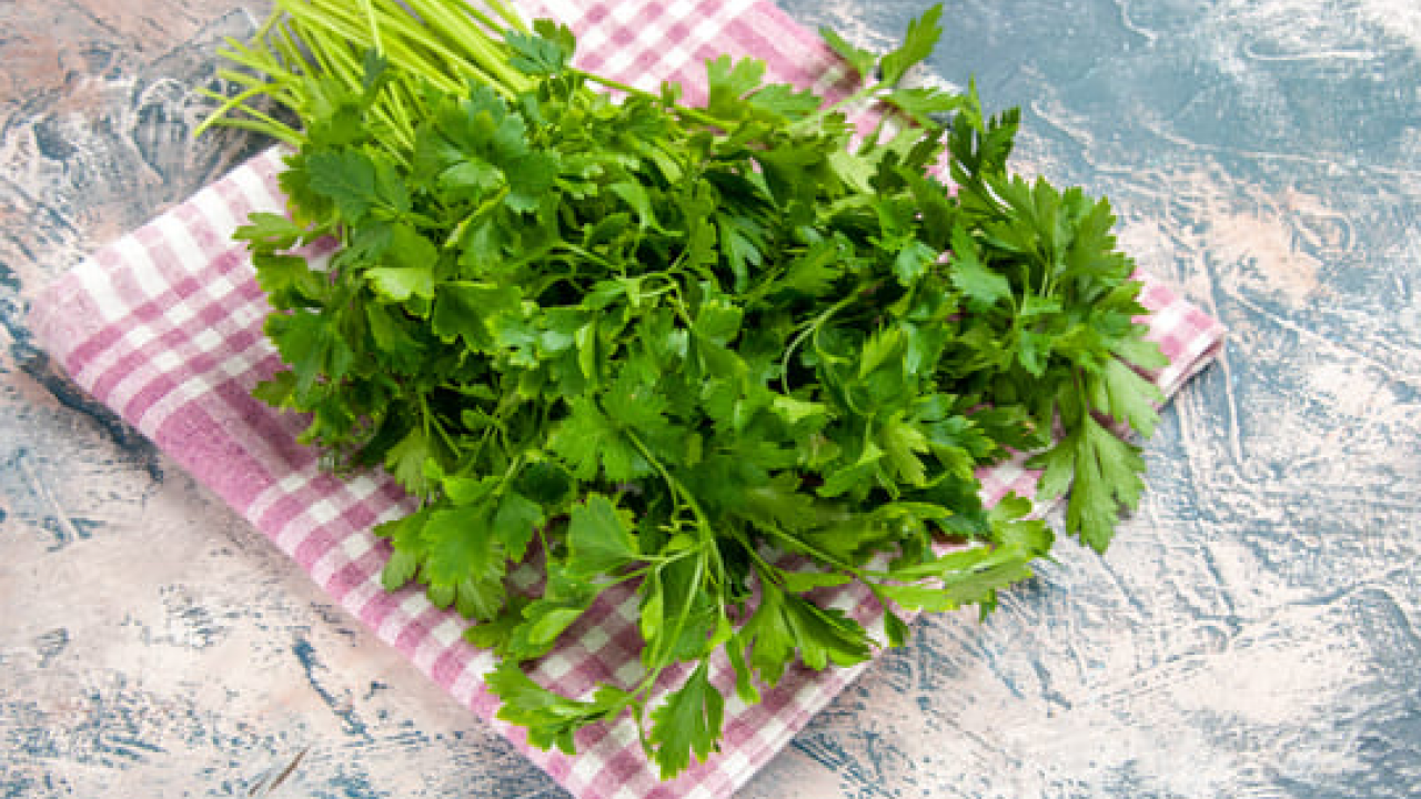 Foto - Maydanoz: Lezzetiyle müthiş, birçok kişinin favorisi! Duyan satın almak istedi... Deneyince bir anda farkını göreceksiniz!