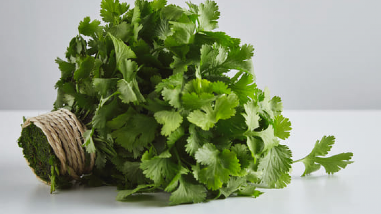  Maydanoz: Lezzetiyle müthiş, birçok kişinin favorisi! Duyan satın almak istedi... Deneyince bir anda farkını göreceksiniz!