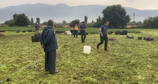 Foto - Maydanoz tarlasında gelen son! Ecel ekmek peşindeyken yakaladı