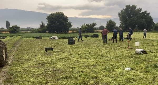 Foto - Maydanoz tarlasında gelen son! Ecel ekmek peşindeyken yakaladı
