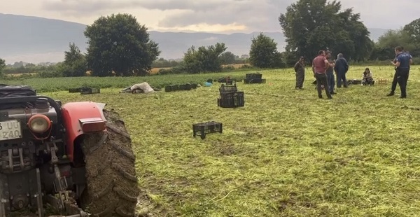 Foto - Maydanoz tarlasında gelen son! Ecel ekmek peşindeyken yakaladı