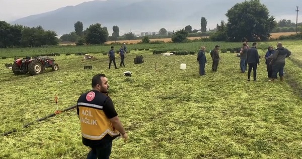 Foto - Maydanoz tarlasında gelen son! Ecel ekmek peşindeyken yakaladı