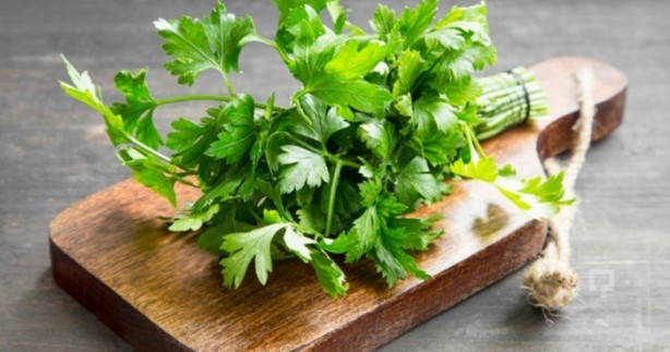 Foto - Maydanozla 15 günde 5 kilo verin!