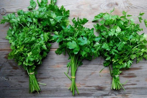 Foto - Maydanozla 15 günde 5 kilo verin!