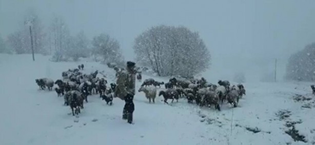 Foto - Mayıs ayında 10 santimetre kar sürprizi!