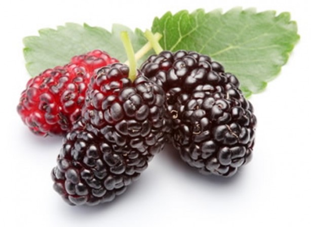 Foto - Mayıs ayında bunları tüketmelisiniz