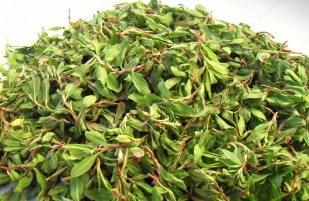 Foto - Mayıs ayında bunları tüketmelisiniz