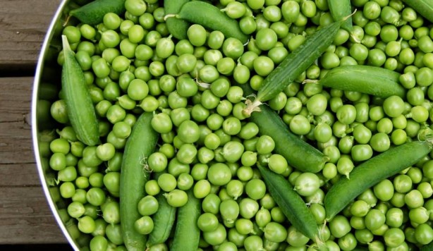 Foto - Mayıs ayında hangi sebze ve meyve yenir? Mayıs ayında tüketilen meyve sebzeler