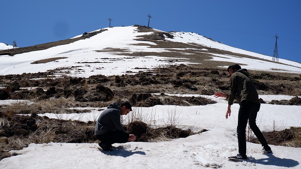 Foto - Mayıs ayında kar topu keyfi 