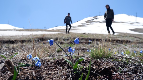 Foto - Mayıs ayında kar topu keyfi 
