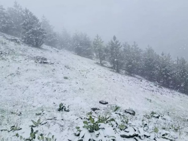 Foto - Mayıs ayında kış yüzünü tekrar gösterdi! 