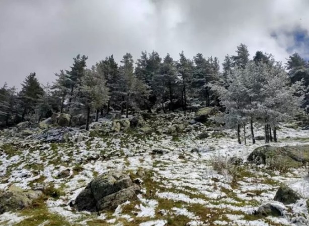 Foto - Mayıs ayında kış yüzünü tekrar gösterdi! 