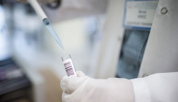 Foto - Maymun çiçeği alarmı! Kıta genelinde acil durum ilan edildi