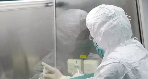 Maymun çiçeği alarmı! Kıta genelinde acil durum ilan edildi