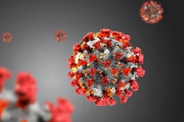 Foto - Maymun çiçeği alarmı! Kıta genelinde acil durum ilan edildi