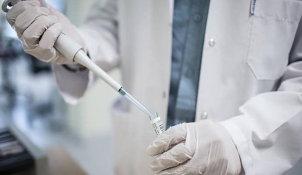 Foto - Maymun çiçeği alarmı! Kıta genelinde acil durum ilan edildi