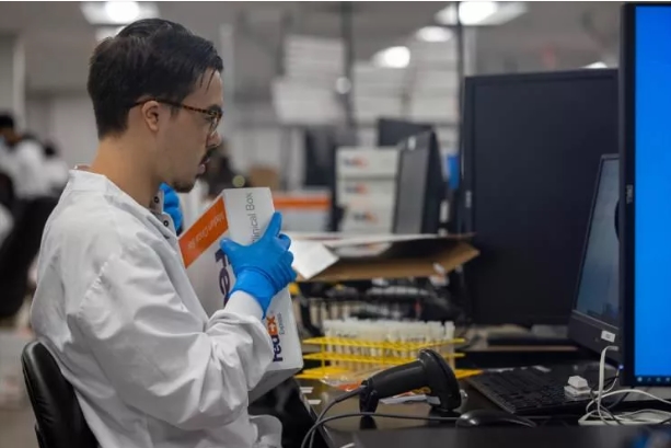 Foto - Maymun çiçeği nasıl tespit ediliyor? Aşama Aşama görüntülendi