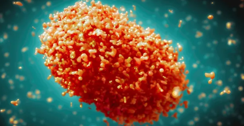 Foto - Maymun çiçeği virüsü bakın nasıl bulaşıyormuş! 30 dakika biriyle aynı odada...