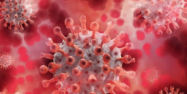 Foto - Maymun çiçeği virüsü nedir? Maymun çiçeği virüsü nasıl bulaşır? Maymun çiçeği Monkeypox belirtileri nedir, tedavisi var mı?