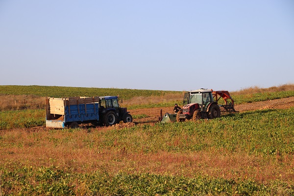 Foto - Mecburen eski yönteme döndüler! Bir hata bakın neye sebep oldu! 