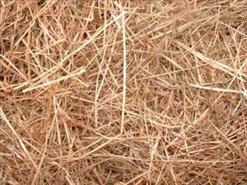 Foto - Medeni gözüken İngiltere'nin gerçekleri