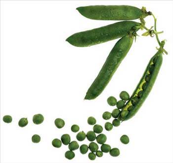 Foto - Medeni gözüken İngiltere'nin gerçekleri