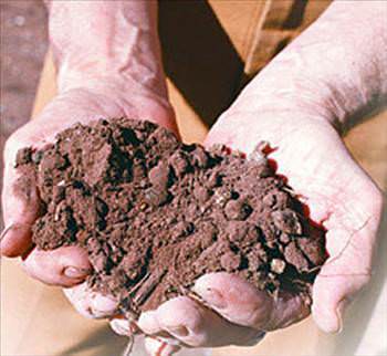 Foto - Medeni gözüken İngiltere'nin gerçekleri