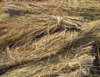 Foto - Medeni gözüken İngiltere'nin gerçekleri