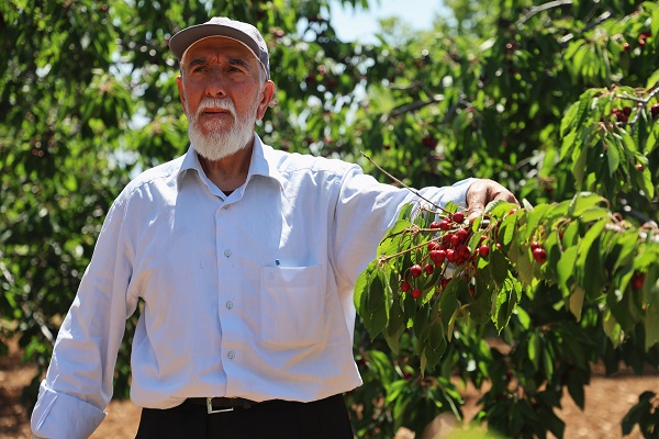 Foto - Medeniyetler beşiğinde bu sene hasat erken geldi